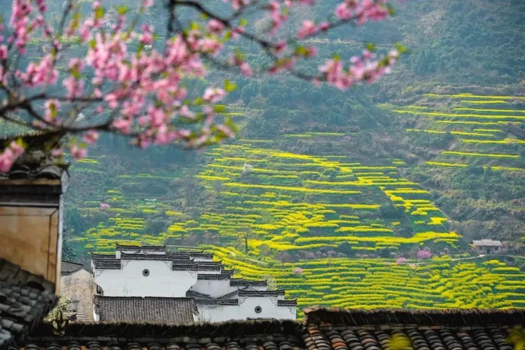 寻找乡村旅游发展“最优解” 寻找乡村旅游发展“最优解”