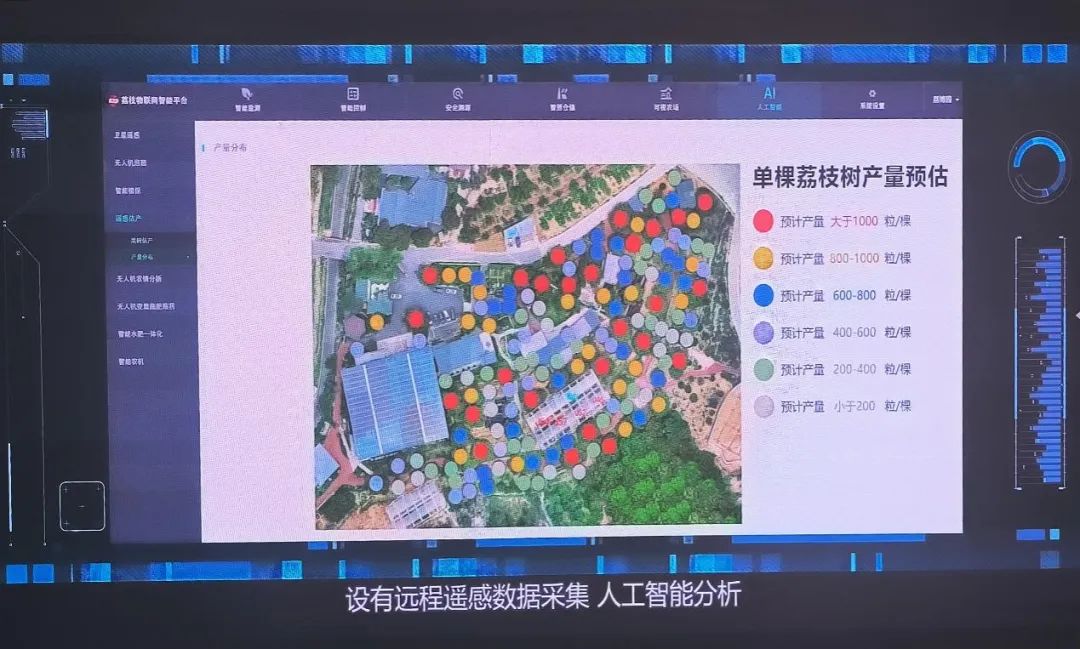 产业链洞察⑧| 美“荔”广州添动能,特色产业结“硕果” 产业链洞察⑧| 美“荔”广州添动能,特色产业结“硕果”