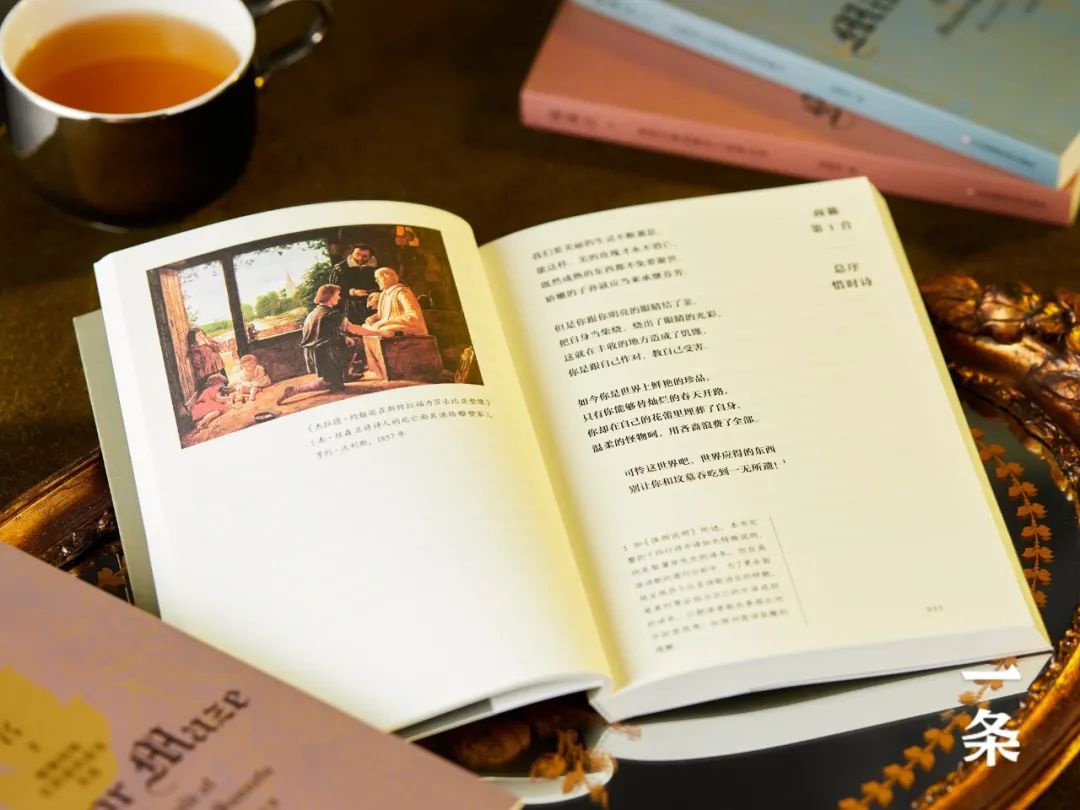 珍藏级莎士比亚十四行诗集，154首中英双语，复旦教授逐诗解读！
