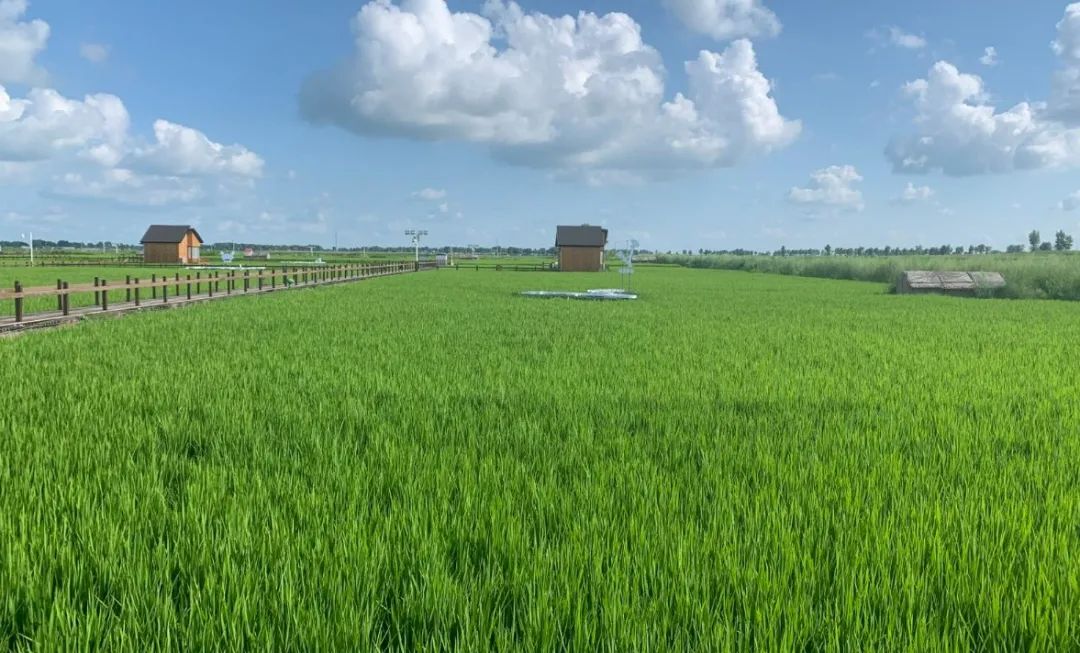 汤怀志：高质量建设好新时期高标准农田