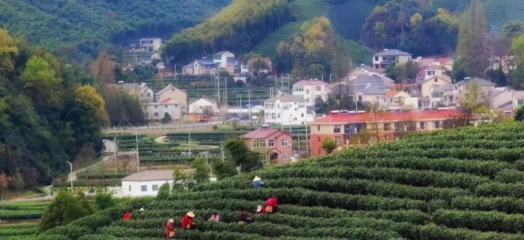 美丽乡村建设之浙江安吉做法 美丽乡村建设之浙江安吉做法