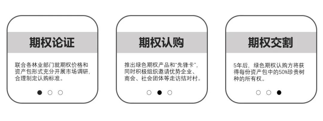 看“绿色期权”如何盘活乡村生态资源——衢州市柯城区“一村万树”的实践经验｜城市眼