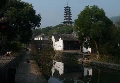 大师讲堂 | 王向荣:自然城市 大师讲堂 | 王向荣:自然城市