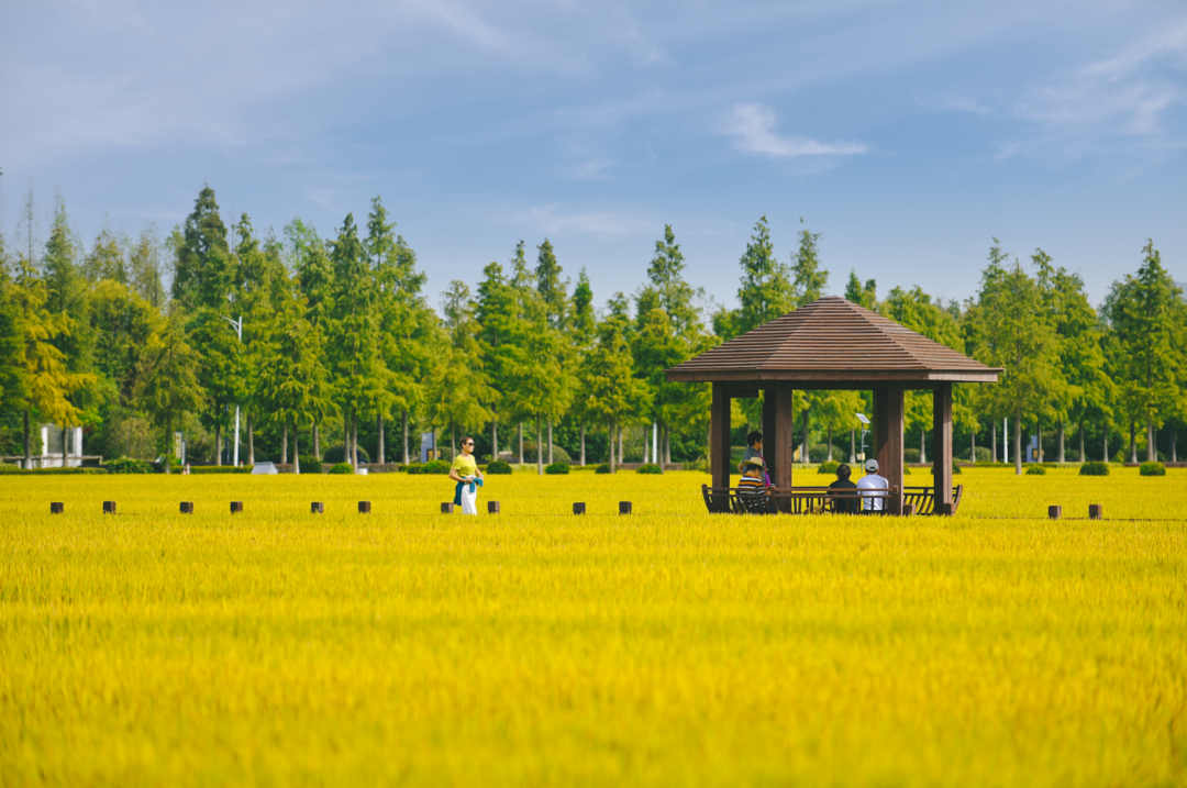 寻找乡村旅游发展“最优解” 寻找乡村旅游发展“最优解”