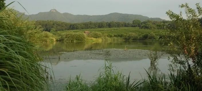大师讲堂 | 王向荣:自然城市 大师讲堂 | 王向荣:自然城市