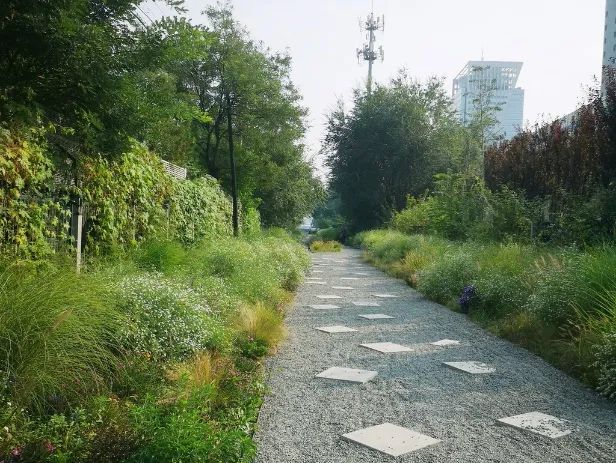大师讲堂 | 王向荣:自然城市 大师讲堂 | 王向荣:自然城市