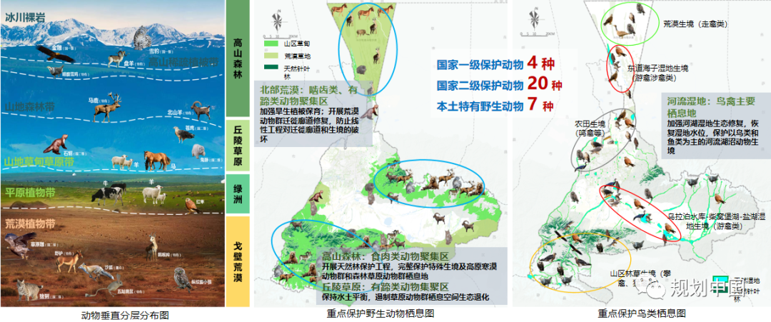 国土空间规划实践探索与体会 国土空间规划实践探索与体会