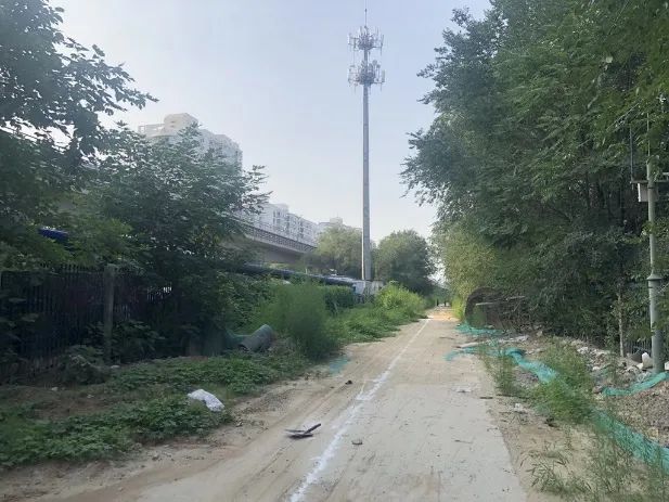 大师讲堂 | 王向荣:自然城市 大师讲堂 | 王向荣:自然城市