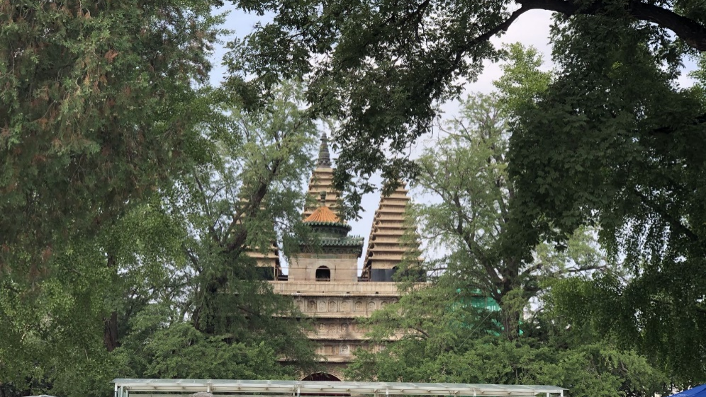 京城周末丨禅房花径缘客扫,一起逛逛那些藏在寺庙里的博物馆 京城周末丨禅房花径缘客扫,一起逛逛那些藏在寺庙里的博物馆