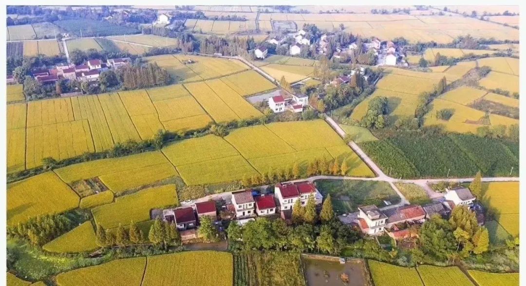 美丽乡村建设之浙江安吉做法 美丽乡村建设之浙江安吉做法