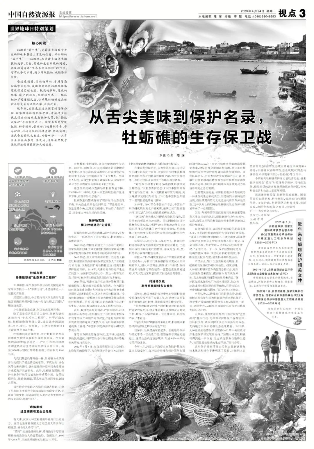 尝鲜与护海,一场牡蛎礁的生存保卫战 尝鲜与护海,一场牡蛎礁的生存保卫战