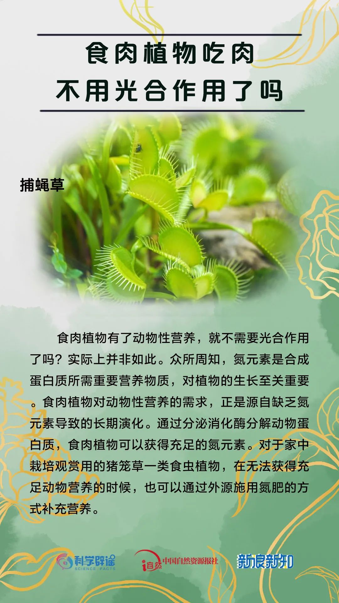 杨树上掉下的是“毛毛虫”?植物的乳汁都有毒?花花这么美,谣言别沾边儿! 杨树上掉下的是“毛毛虫”?植物的乳汁都有毒?花花这么美,谣言别沾边儿!