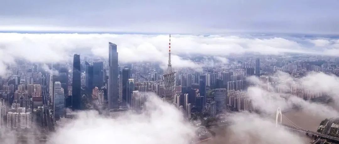 看“绿色期权”如何盘活乡村生态资源——衢州市柯城区“一村万树”的实践经验|城市眼 看“绿色期权”如何盘活乡村生态资源——衢州市柯城区“一村万树”的实践经验|城市眼