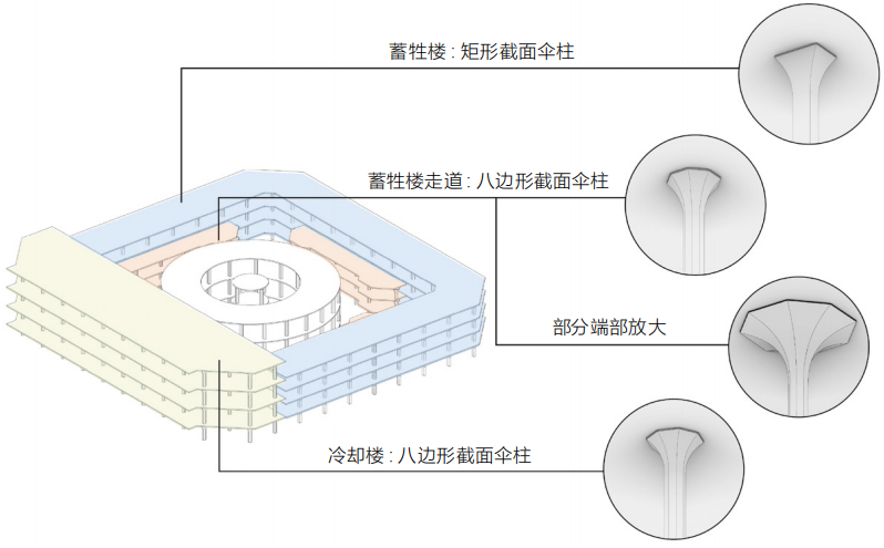 张鹏 贾兴舟 | 结构技术视角下的原上海公共租界工部局宰牲场特征与价值