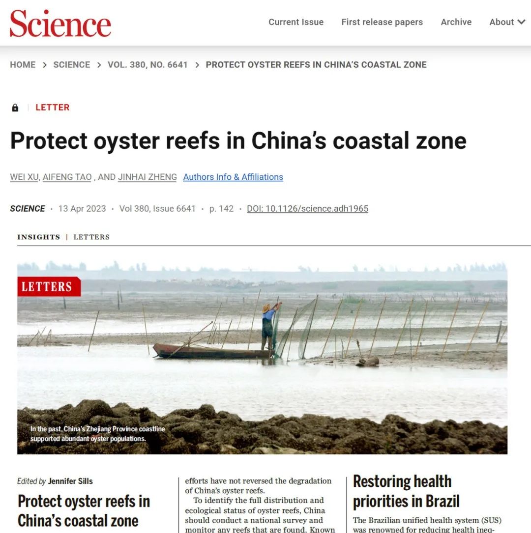 尝鲜与护海,一场牡蛎礁的生存保卫战 尝鲜与护海,一场牡蛎礁的生存保卫战