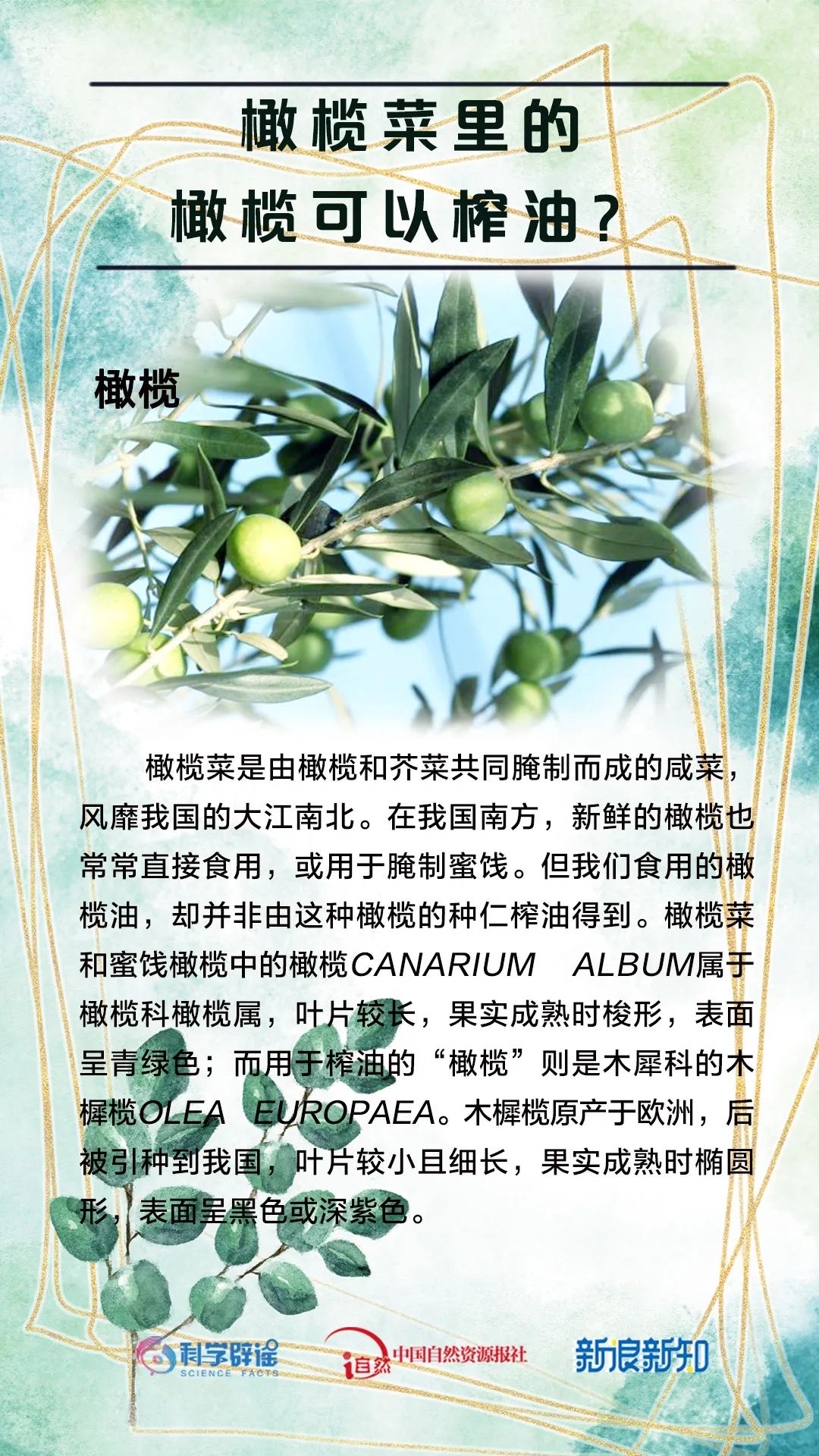 杨树上掉下的是“毛毛虫”?植物的乳汁都有毒?花花这么美,谣言别沾边儿! 杨树上掉下的是“毛毛虫”?植物的乳汁都有毒?花花这么美,谣言别沾边儿!