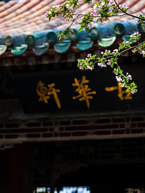 京城古迹丨紫禁城里的花园,你都了解吗? 京城古迹丨紫禁城里的花园,你都了解吗?