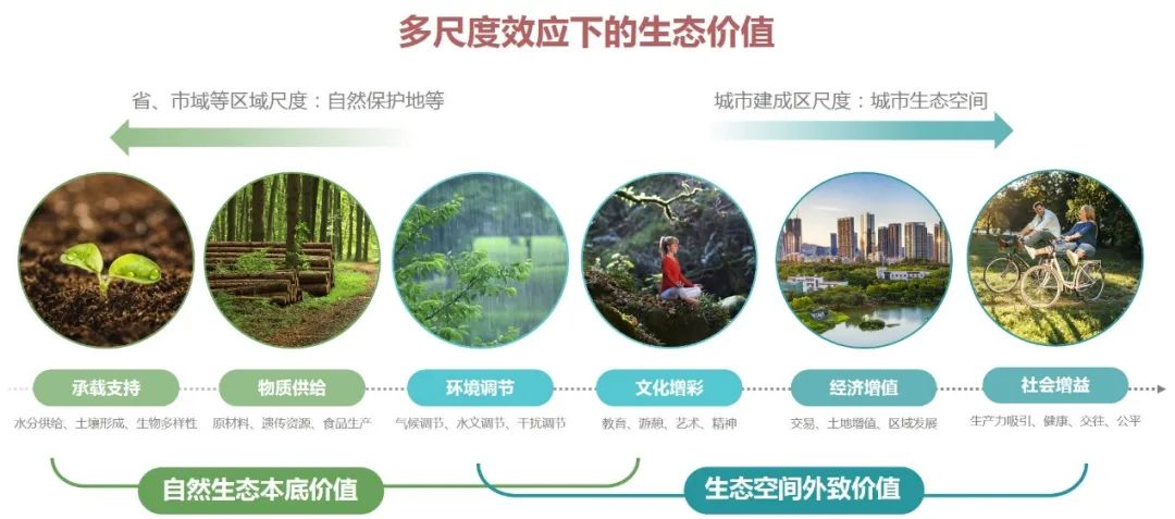 理论研究 | 匡晓明:公园城市生态价值转化路径探索——成都科学城城园耦合城市设计实践 理论研究 | 匡晓明:公园城市生态价值转化路径探索——成都科学城城园耦合城市设计实践