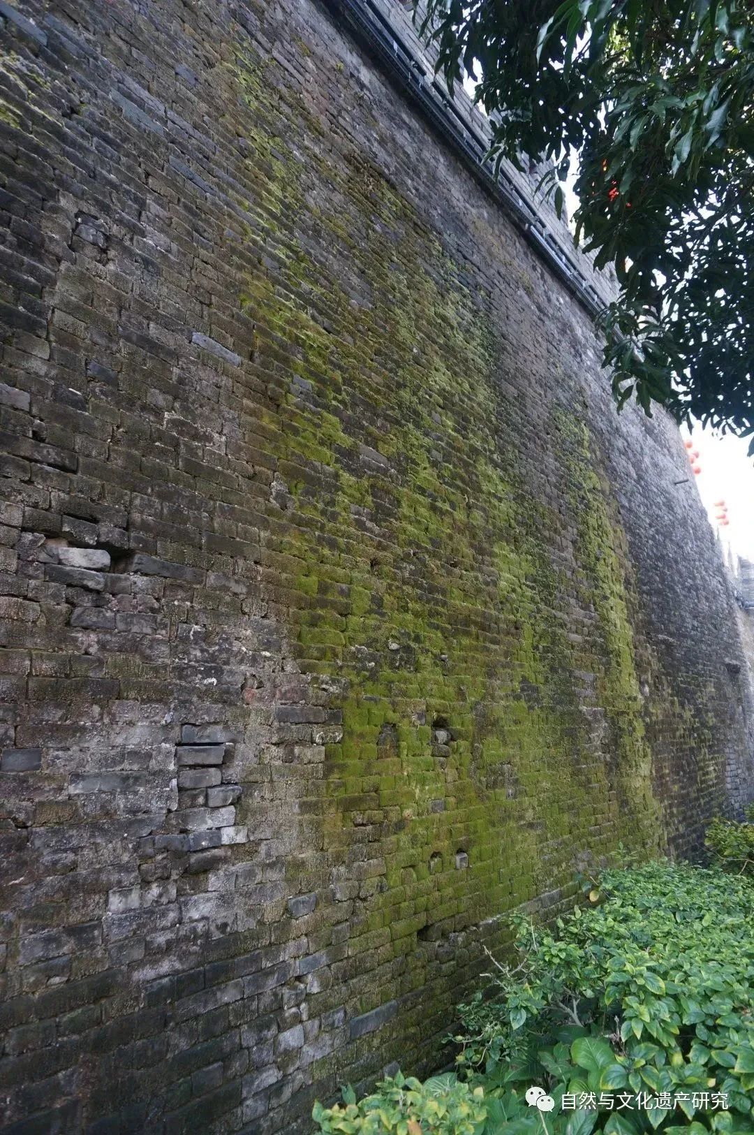 学术分享 | 肇庆古城墙修缮工程中的防、排水做法探索与检验分析研究