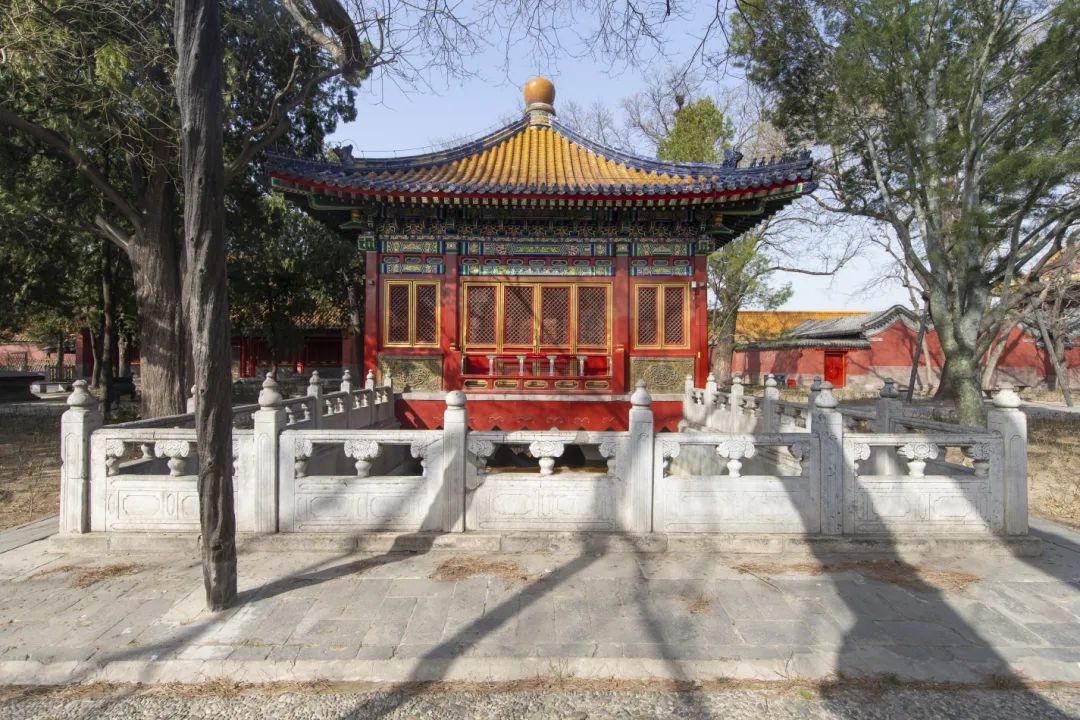 京城古迹丨紫禁城里的花园,你都了解吗? 京城古迹丨紫禁城里的花园,你都了解吗?