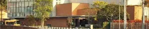 国际博物馆日 | 让收藏在博物馆里的文物活起来 国际博物馆日 | 让收藏在博物馆里的文物活起来