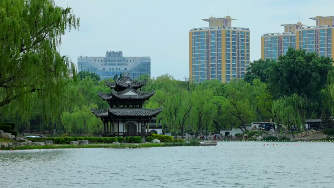 陶然亭公园古树名木寻踪 陶然亭公园古树名木寻踪