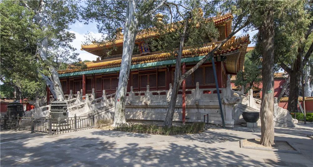 京城古迹丨紫禁城里的花园,你都了解吗? 京城古迹丨紫禁城里的花园,你都了解吗?