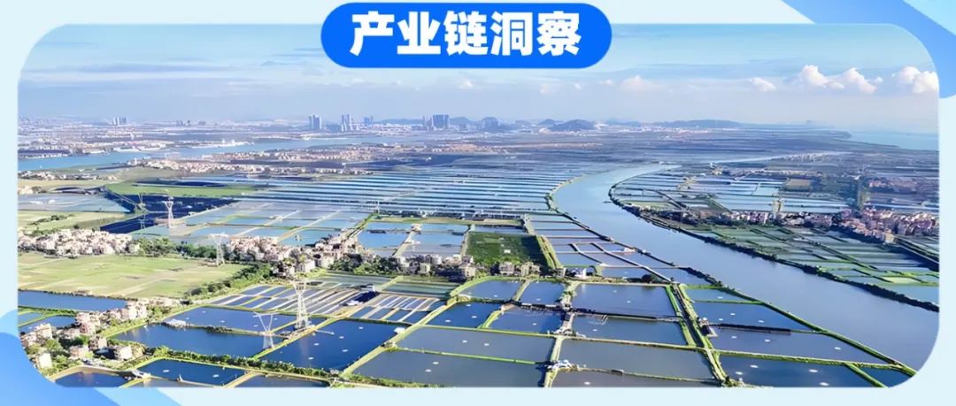 从“城市伤疤”到“伦敦小硅谷”——东伦敦科技城渐进式更新对广州的启示｜城市眼