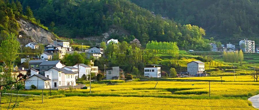 聚焦乡村产业振兴,广东未来5年实行点状供地 聚焦乡村产业振兴,广东未来5年实行点状供地