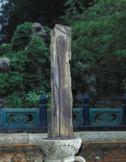 京城古迹丨紫禁城里的花园,你都了解吗? 京城古迹丨紫禁城里的花园,你都了解吗?