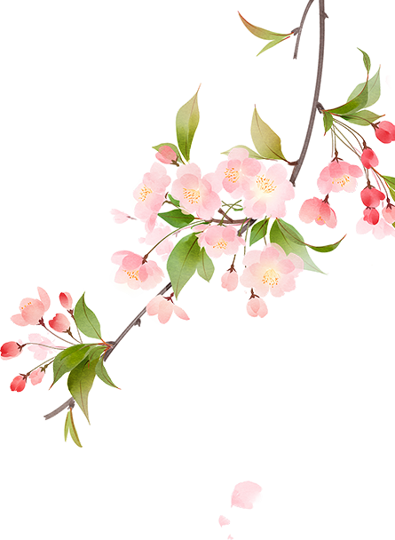 京城古迹丨紫禁城里的花园,你都了解吗? 京城古迹丨紫禁城里的花园,你都了解吗?
