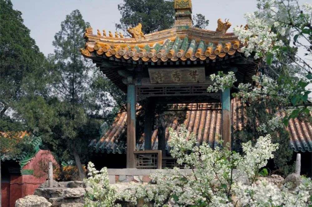 京城古迹丨紫禁城里的花园,你都了解吗? 京城古迹丨紫禁城里的花园,你都了解吗?