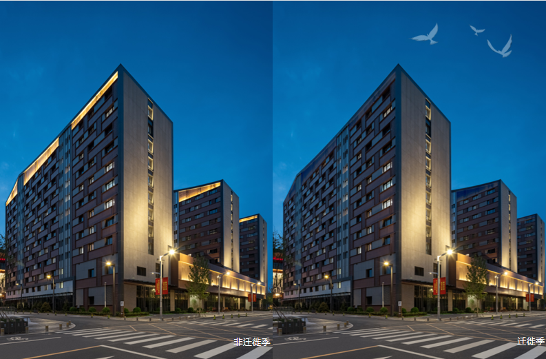 清华同衡助力雄安新区建设打造夜景示范项目 清华同衡助力雄安新区建设打造夜景示范项目