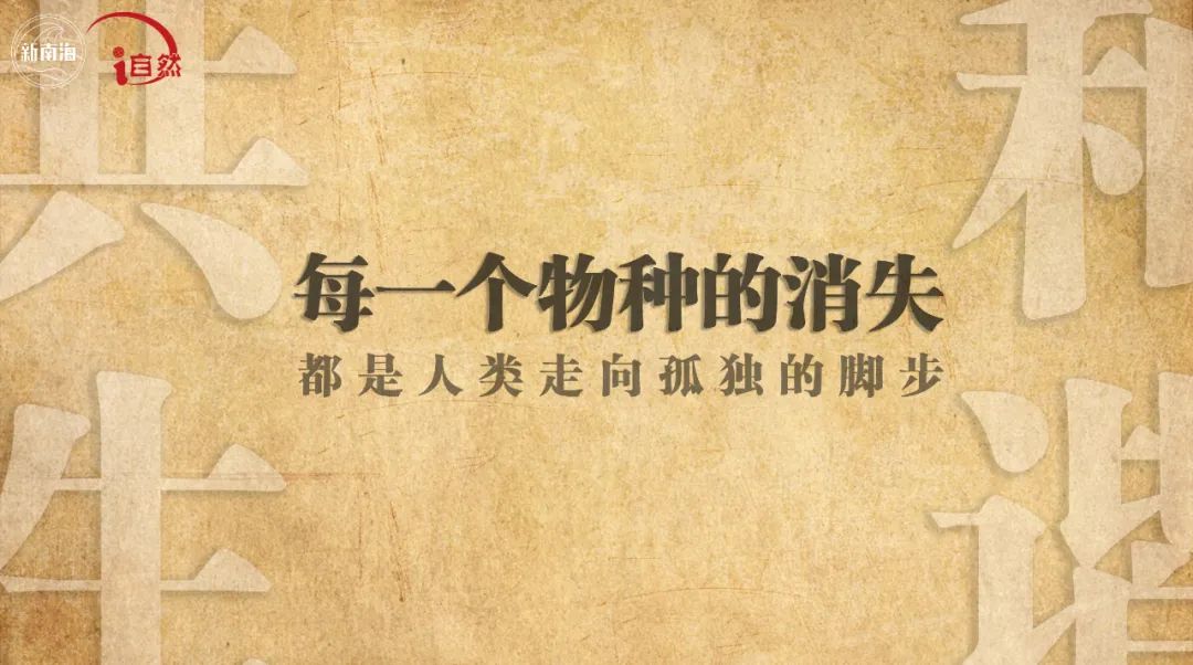国际生物多样性日 | “鲎”会有期