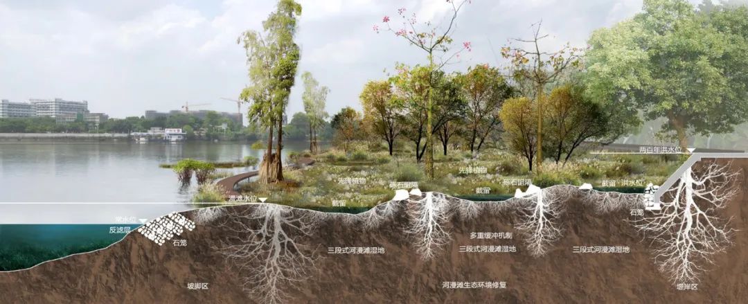 建设人民共享的白云滨江——白云区珠江沿岸高质量发展实施规划｜作品