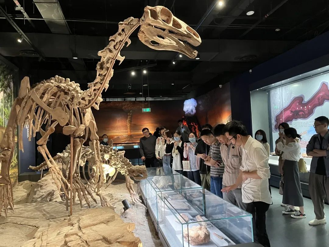 学思践悟建新功 奉献亚运在行动——市局团委组织开展“五四”主题团日活动 学思践悟建新功 奉献亚运在行动——市局团委组织开展“五四”主题团日活动