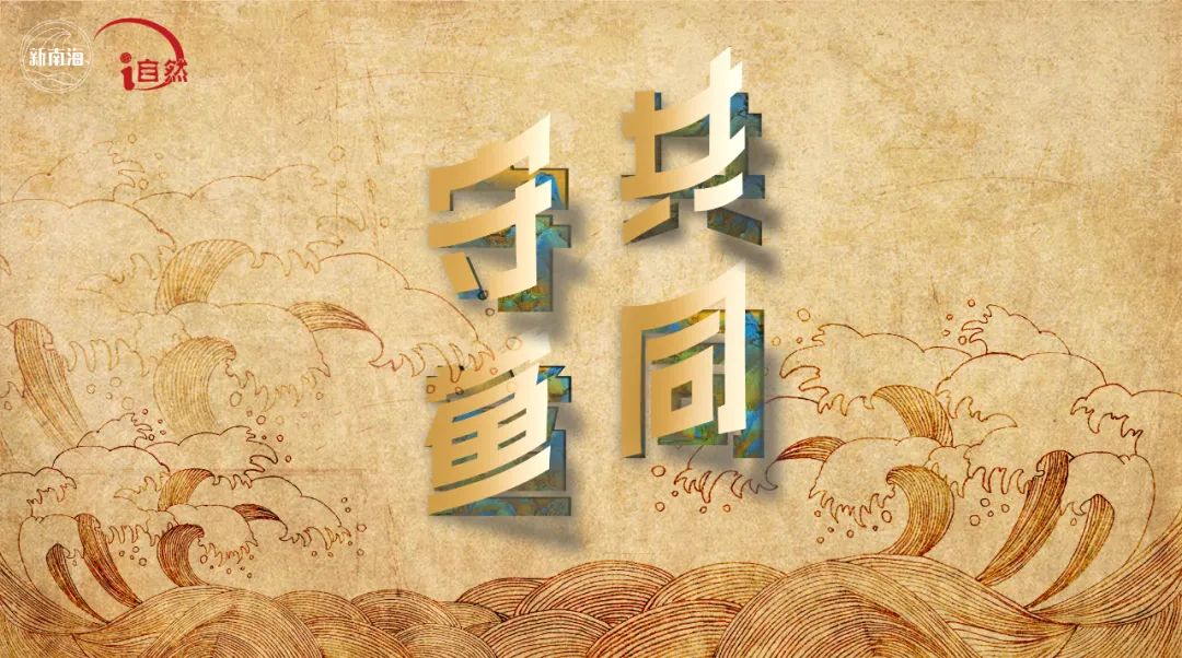 国际生物多样性日 | “鲎”会有期