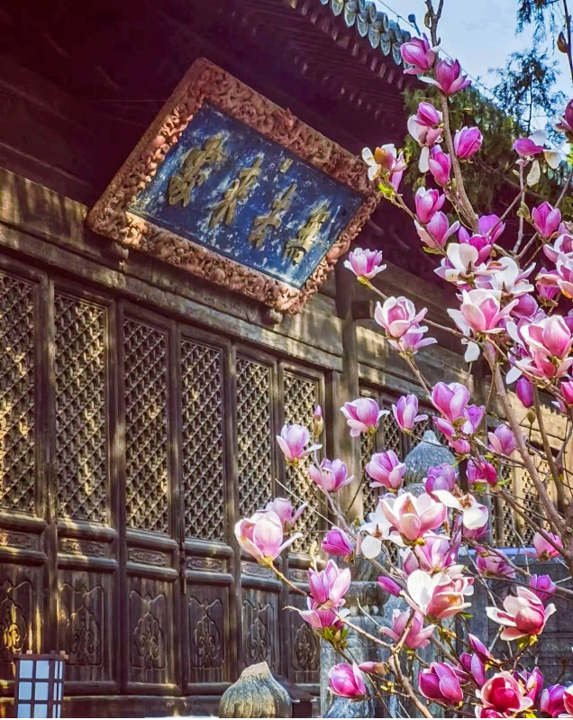京城古迹丨西山大觉寺,千年灵泉史 京城古迹丨西山大觉寺,千年灵泉史