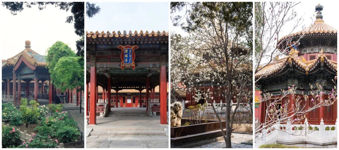 京城古迹丨紫禁城里的花园,你都了解吗? 京城古迹丨紫禁城里的花园,你都了解吗?