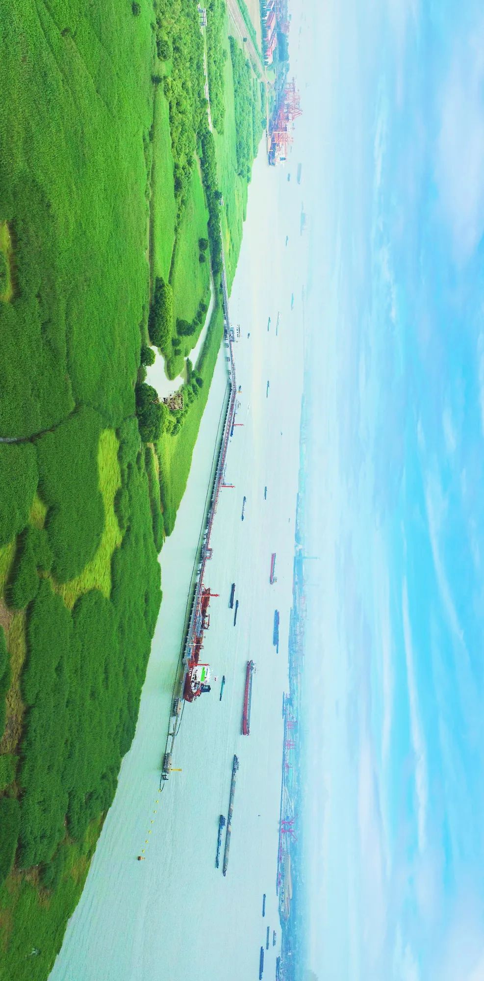 聚焦长江流域生态保护修复