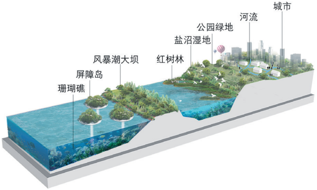 期刊精粹 | 韧性理念下风暴潮灾害应对的国际经验及启示【2023.2期】 期刊精粹 | 韧性理念下风暴潮灾害应对的国际经验及启示【2023.2期】