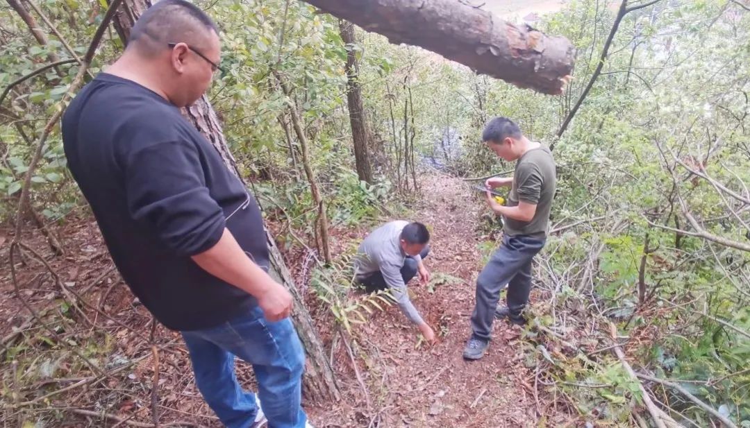 地灾防控：“隐患点”单一防控→“隐患点+风险区”双控模式取得阶段性成效