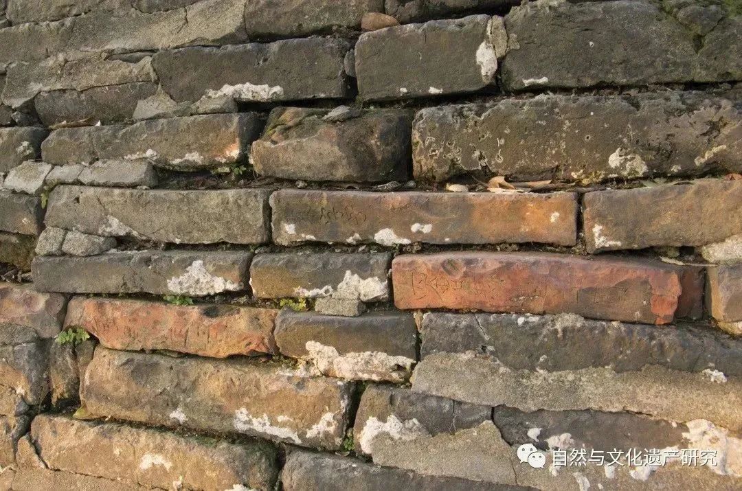 学术分享 | 肇庆古城墙修缮工程中的防、排水做法探索与检验分析研究