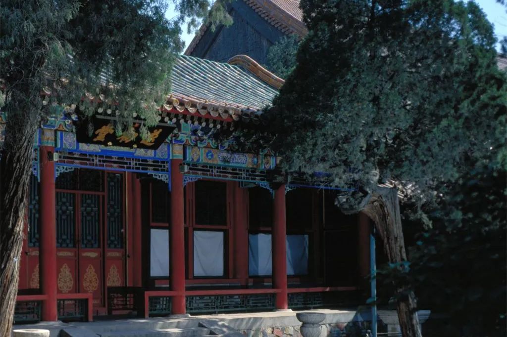 京城古迹丨紫禁城里的花园,你都了解吗? 京城古迹丨紫禁城里的花园,你都了解吗?