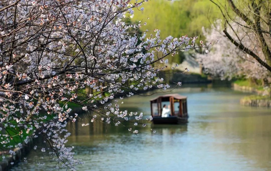 古镇的“活化”,是不是只有旅游开发一条路? 古镇的“活化”,是不是只有旅游开发一条路?