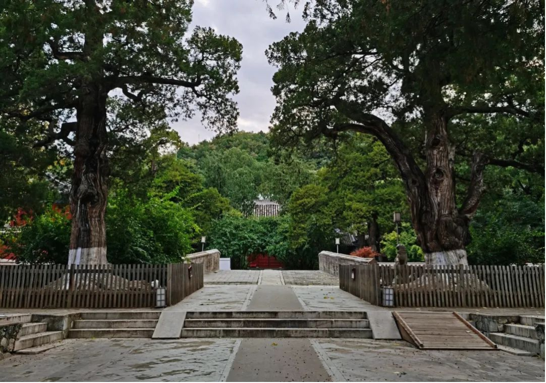 京城古迹丨西山大觉寺,千年灵泉史 京城古迹丨西山大觉寺,千年灵泉史