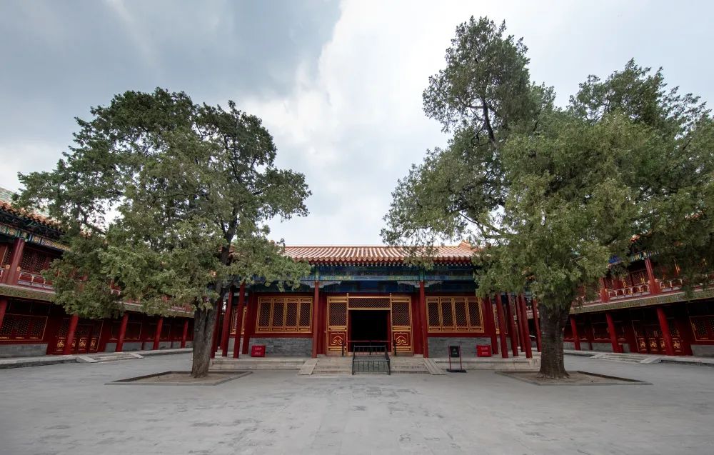 京城古迹丨紫禁城里的花园,你都了解吗? 京城古迹丨紫禁城里的花园,你都了解吗?