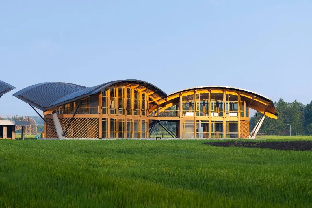 三星堆博物馆建筑师刘艺：比语言更适合评价建筑师的，是时间。