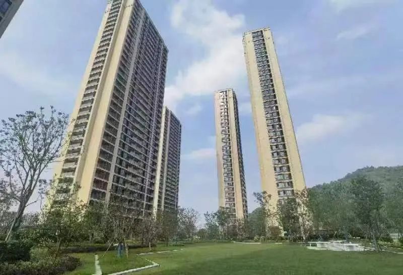 多措并举︱市规划资源局滨江分局加速推进安置房交房清零