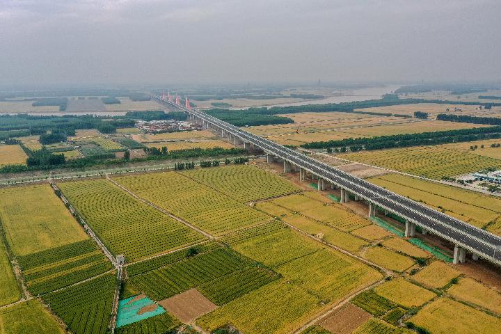 “退林还耕”？原来是个伪概念